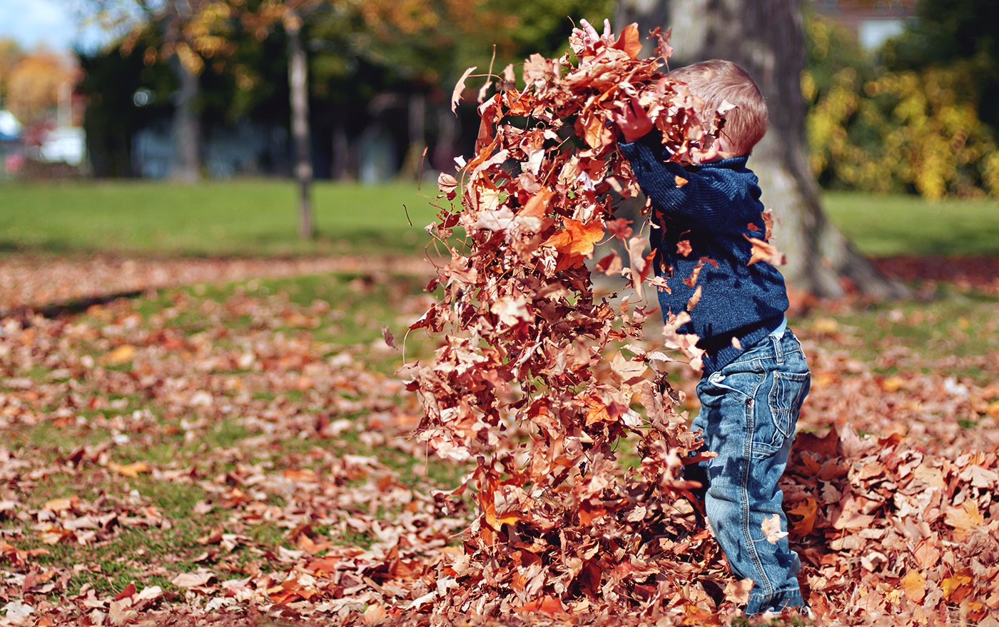 5 naturaktiviteter du kan göra med ungarna under hösten